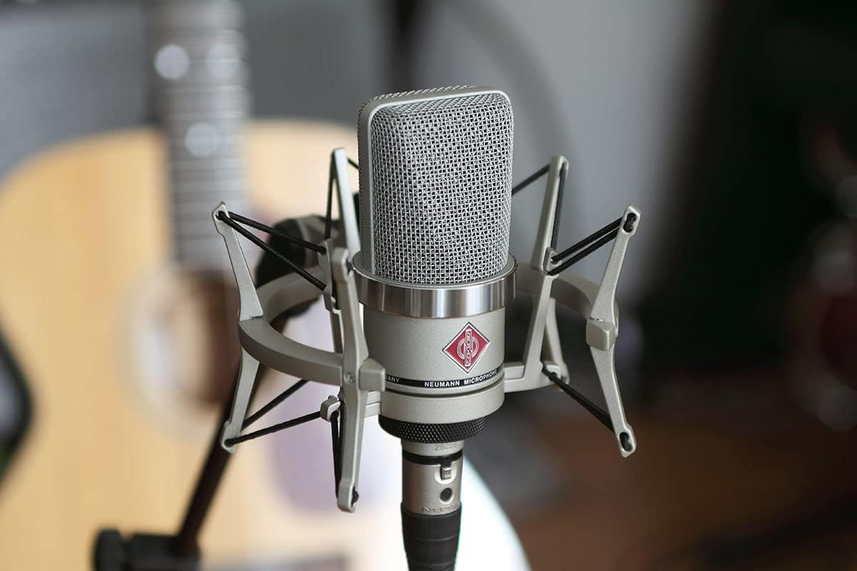 Micros statiques NEUMANN TLM 102 NICKEL Micros large capsule – Image 9