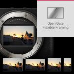 Panasonic Lumix S9 | Appareil Photo Hybride Plein Format, 24MP, Autofocus Phase, Double Stab, 6K Open Gate, Rafale AFC 30ips, App. Lumix Lab + Objectif Lumix S 20-60mm F3.5-5.6, Noir – Image 9