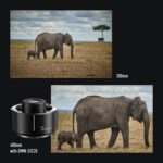 Panasonic Lumix S Pro 70-200mm F2.8 | Objectif Téléphoto Plein Format S-E70200E (Ouverture F2.8 Constant, Zoom 200mm, Bague de débrayage, Double Stab., Tropicalisé) Noir – Compatible Monture L – Image 6